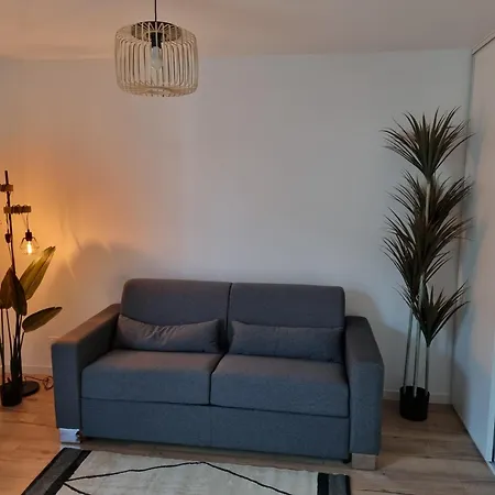 דירה L'opale Entier Bien Place לורדה