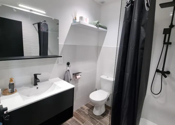 L'opale Entier Bien Place Apartment *